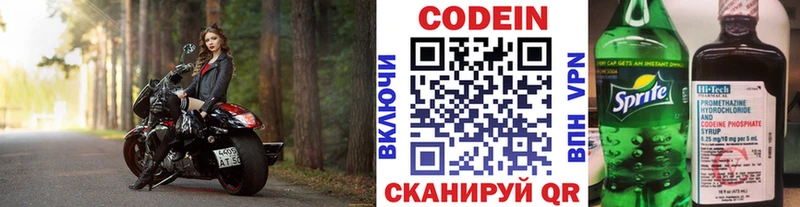 kraken как войти  Камышлов  Codein Purple Drank  хочу наркоту 