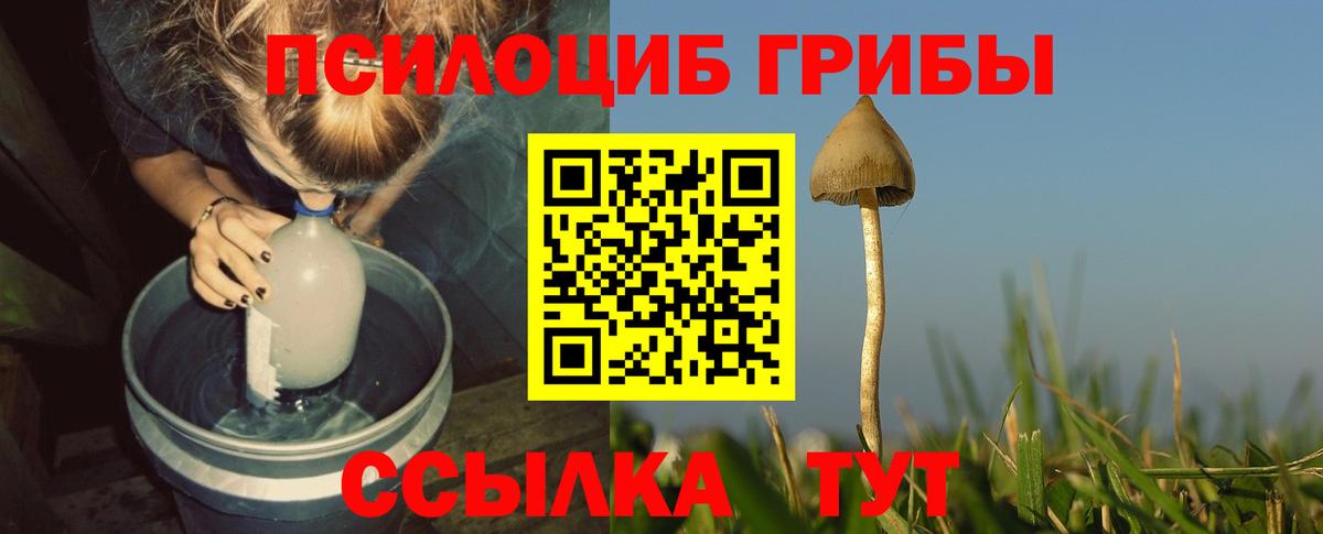 Галлюциногенные грибы Magic Shrooms Камышлов